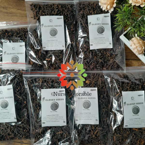 Cloves seeds