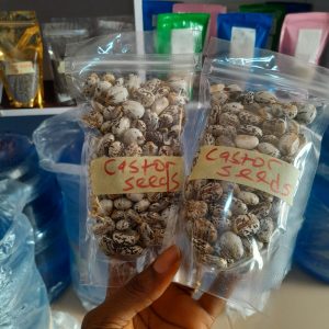 Castor seeds